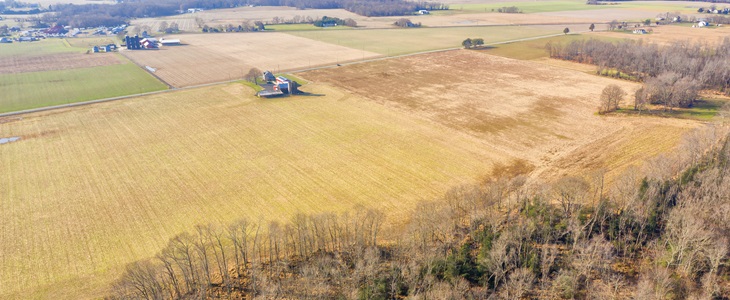 Seeds of change, and what happens when people plant them