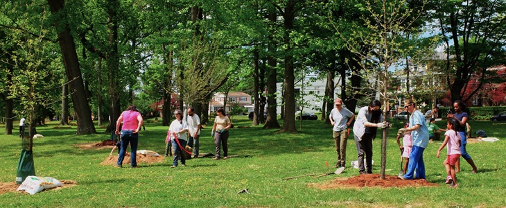Painting New Jersey’s streets green