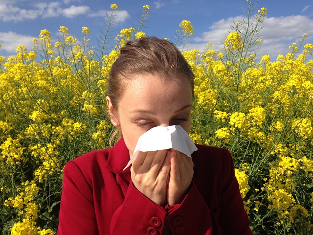 Don’t Let Seasonal Allergies Spoil Your Summer