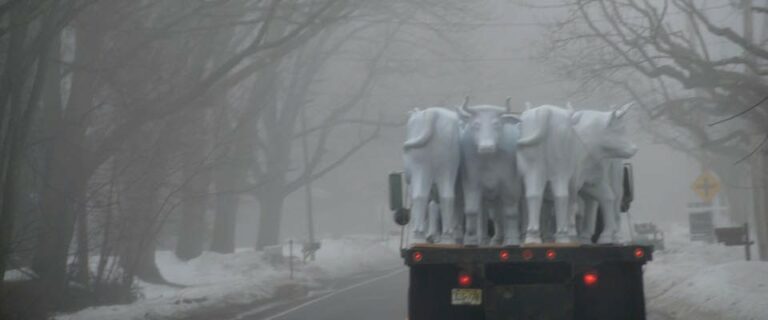 Hopewell Valley Arts Council celebrates decade of ‘art in the everyday’