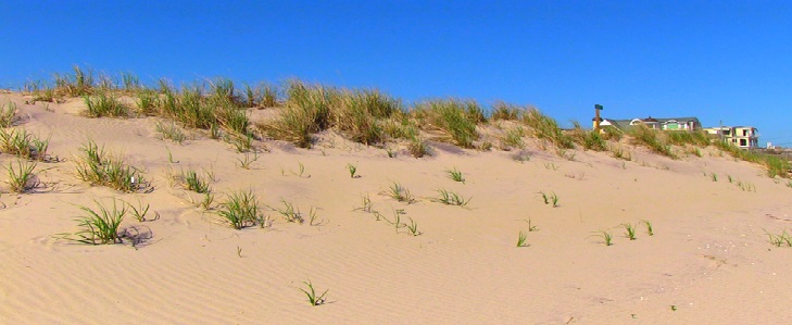 Coastal resilience: It’s past time to take action!