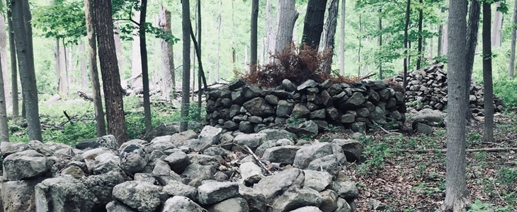 Stones that tell stories  