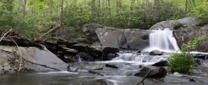 Celebrating 20 Years of the Highlands Protection