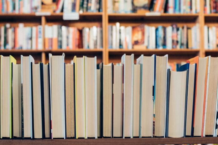 Princeton Public Library loses 31 video games