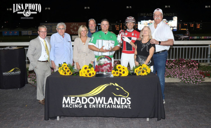 Andrew Harris reaches new heights in harness racing