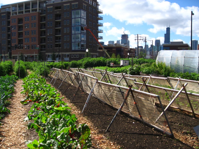 Trenton meeting to explore urban agriculture on Aug. 11