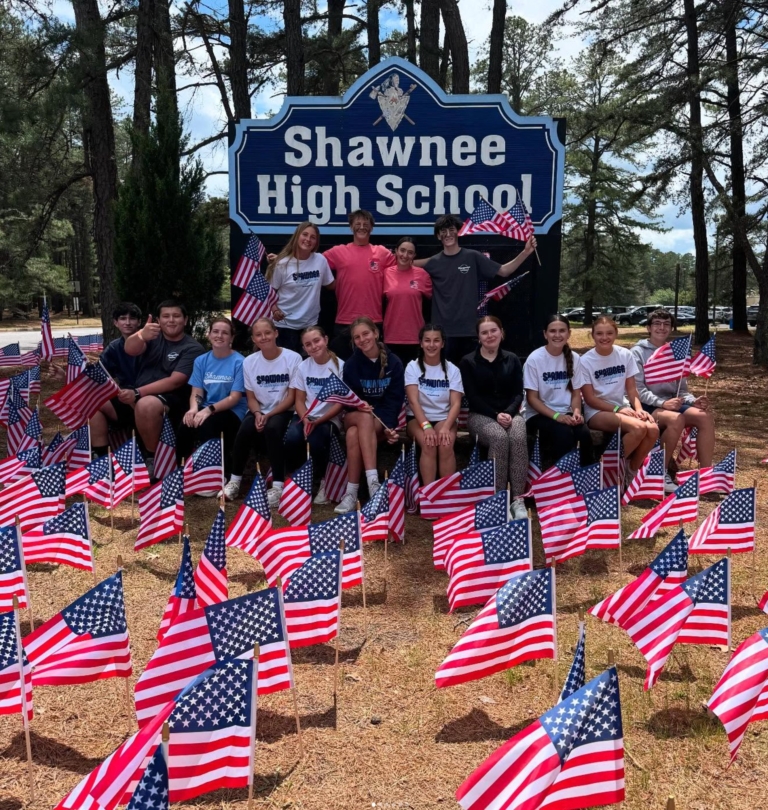 Flag display
