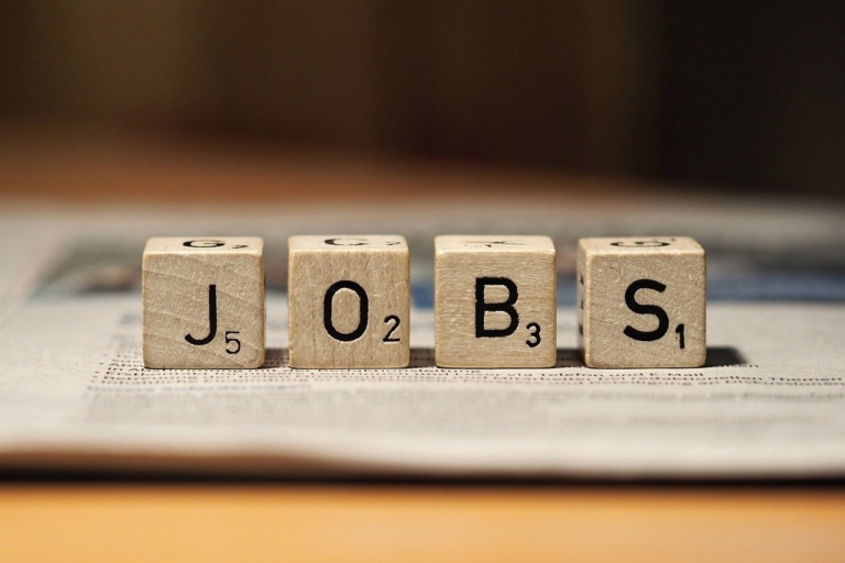 Opportunities for seniors