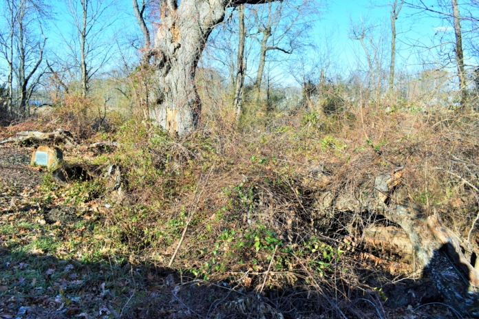 Balloon landing three