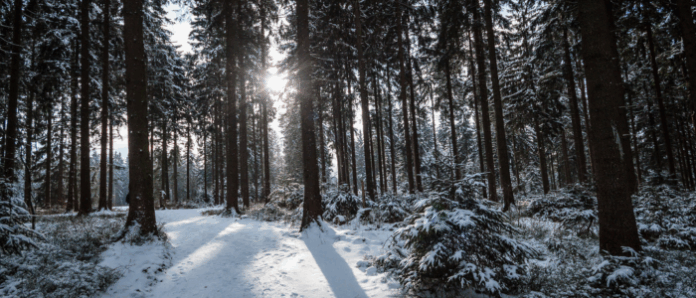 Winter Hike - Greg_FOT