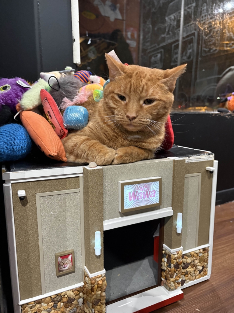 The current image has no alternative text. The file name is: image-1-scaled.jpg