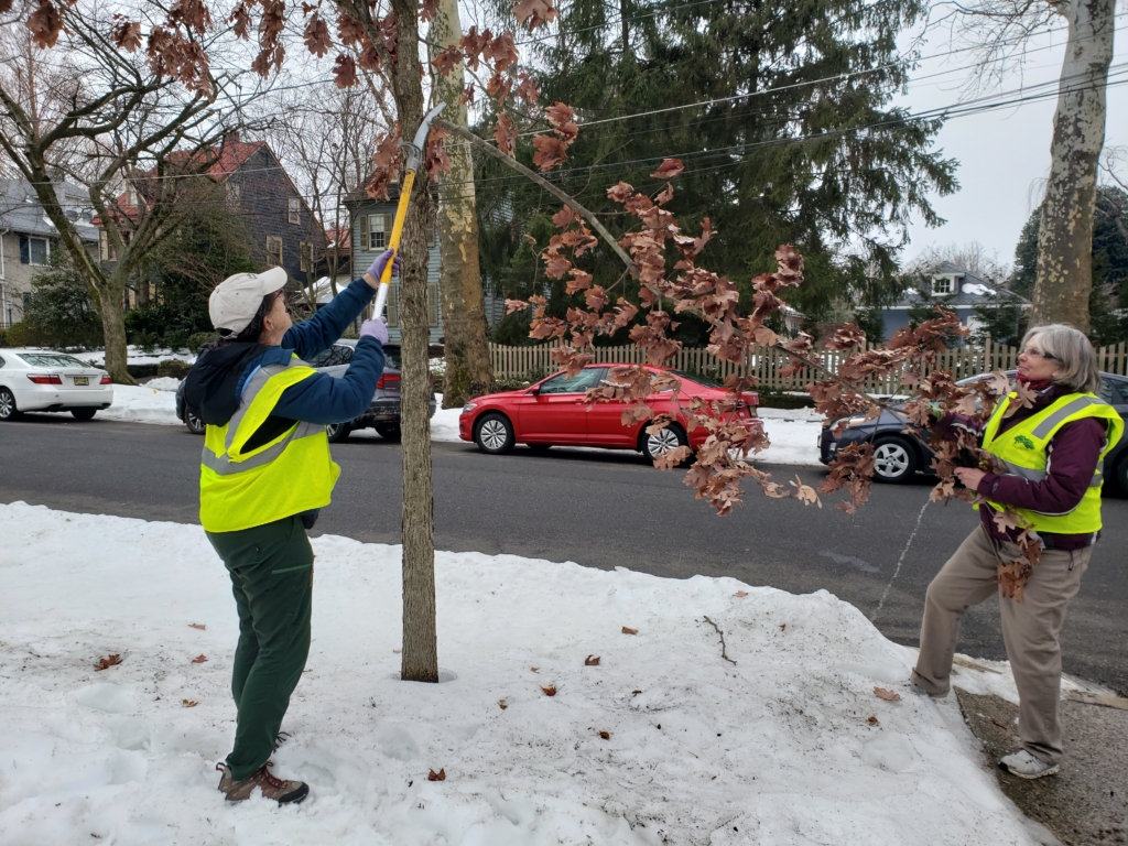 The current image has no alternative text. The file name is: 20260217_133726-scaled.jpg