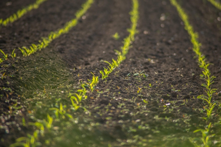 EPA reviews Superfund Lightman Drum site