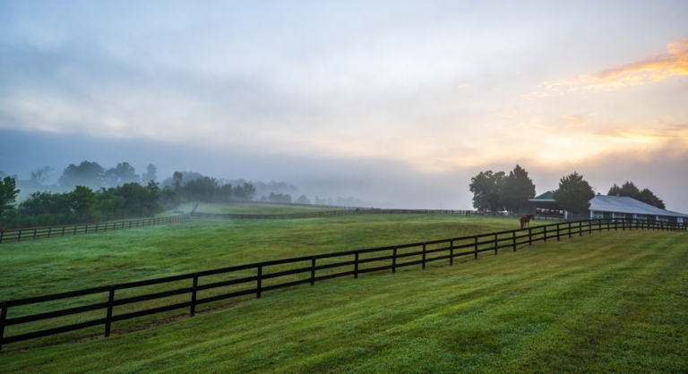 Burlington County horse tests positive for equine herpes virus