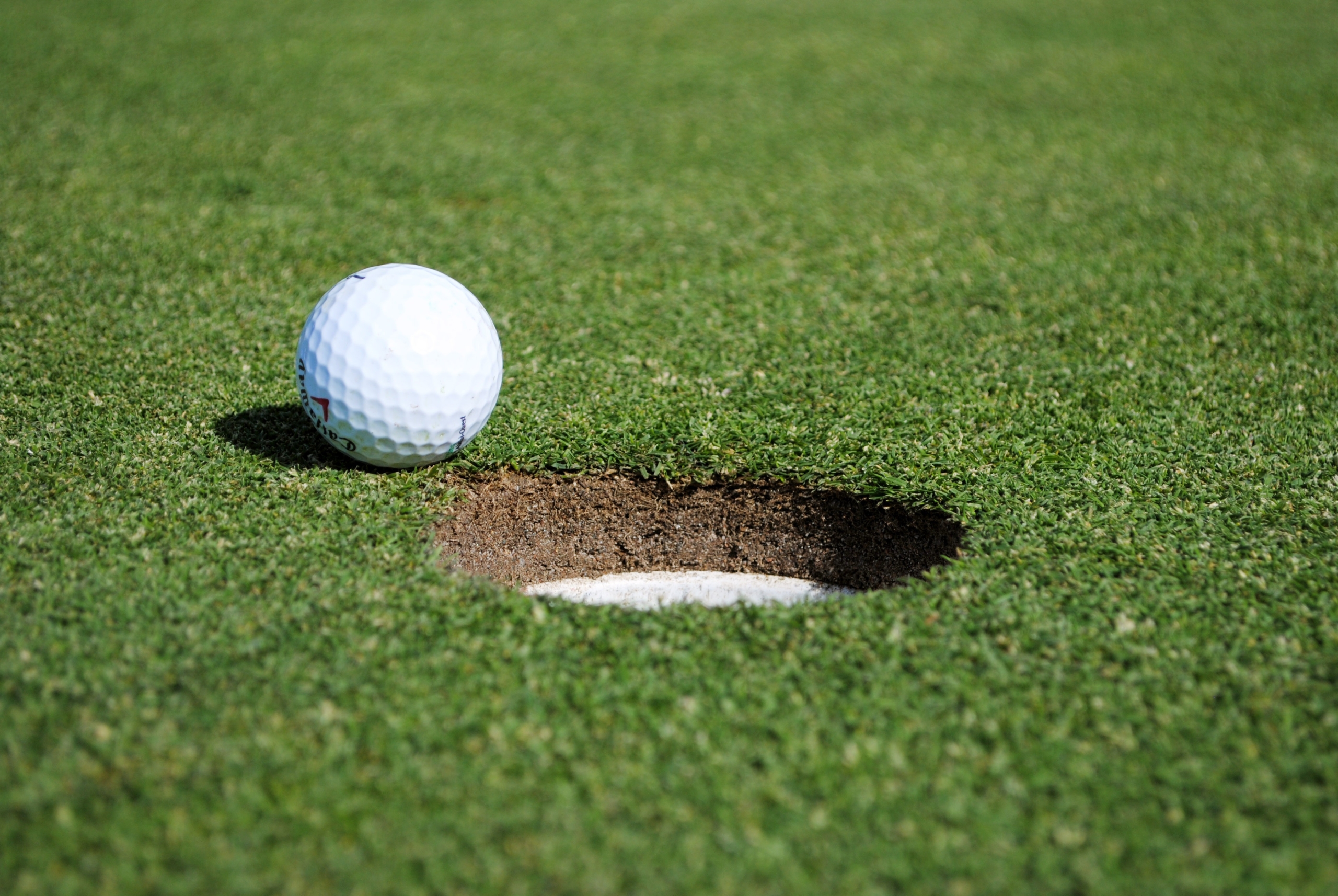 'Something special': Golf with the MEF