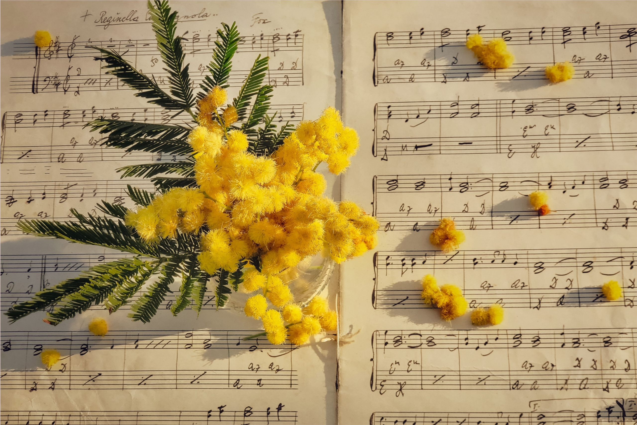 Sing or ring with church choir