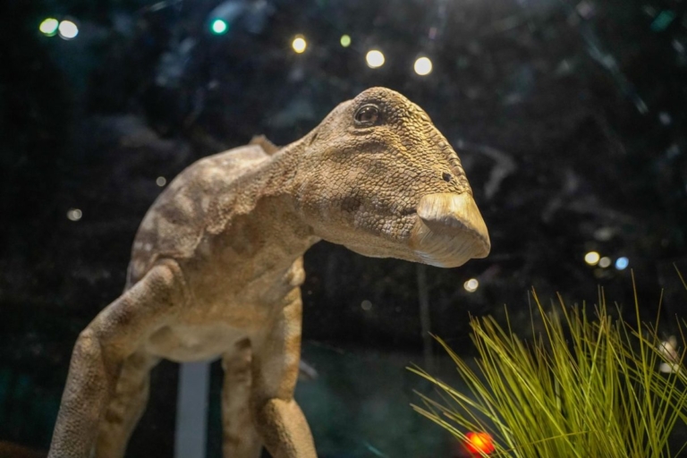 Dinosaurs teach us about climate change and our future