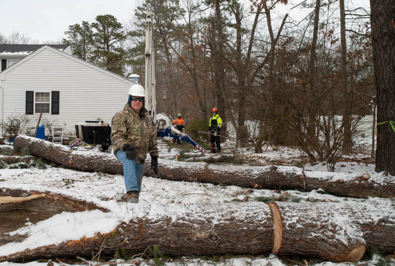 ‘No job is too small’ at Wible’s Tree Service