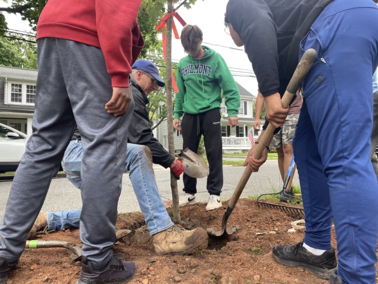 Helping the environment ‘one tree at a time’